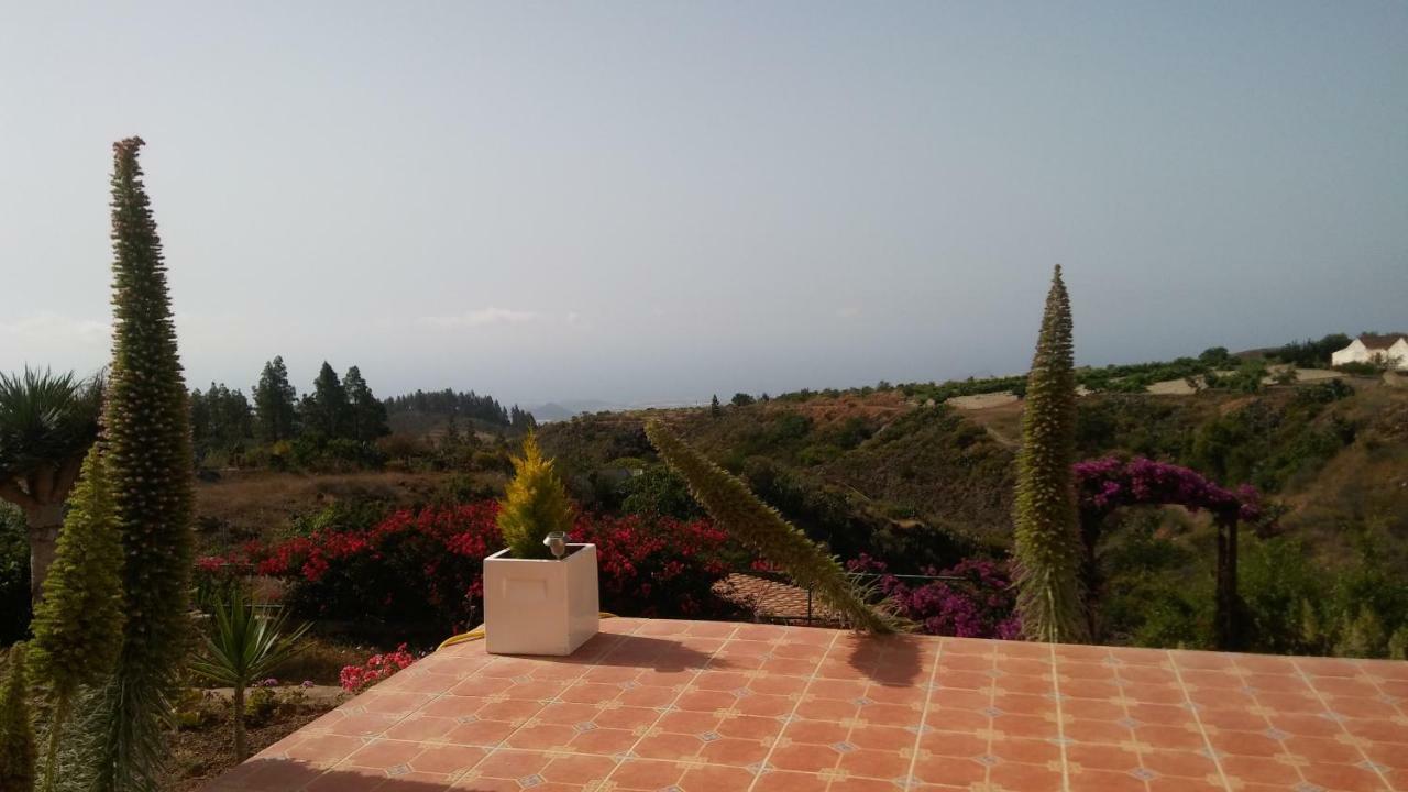 Finca Dulce Maikel Granadilla De Abona Exterior photo
